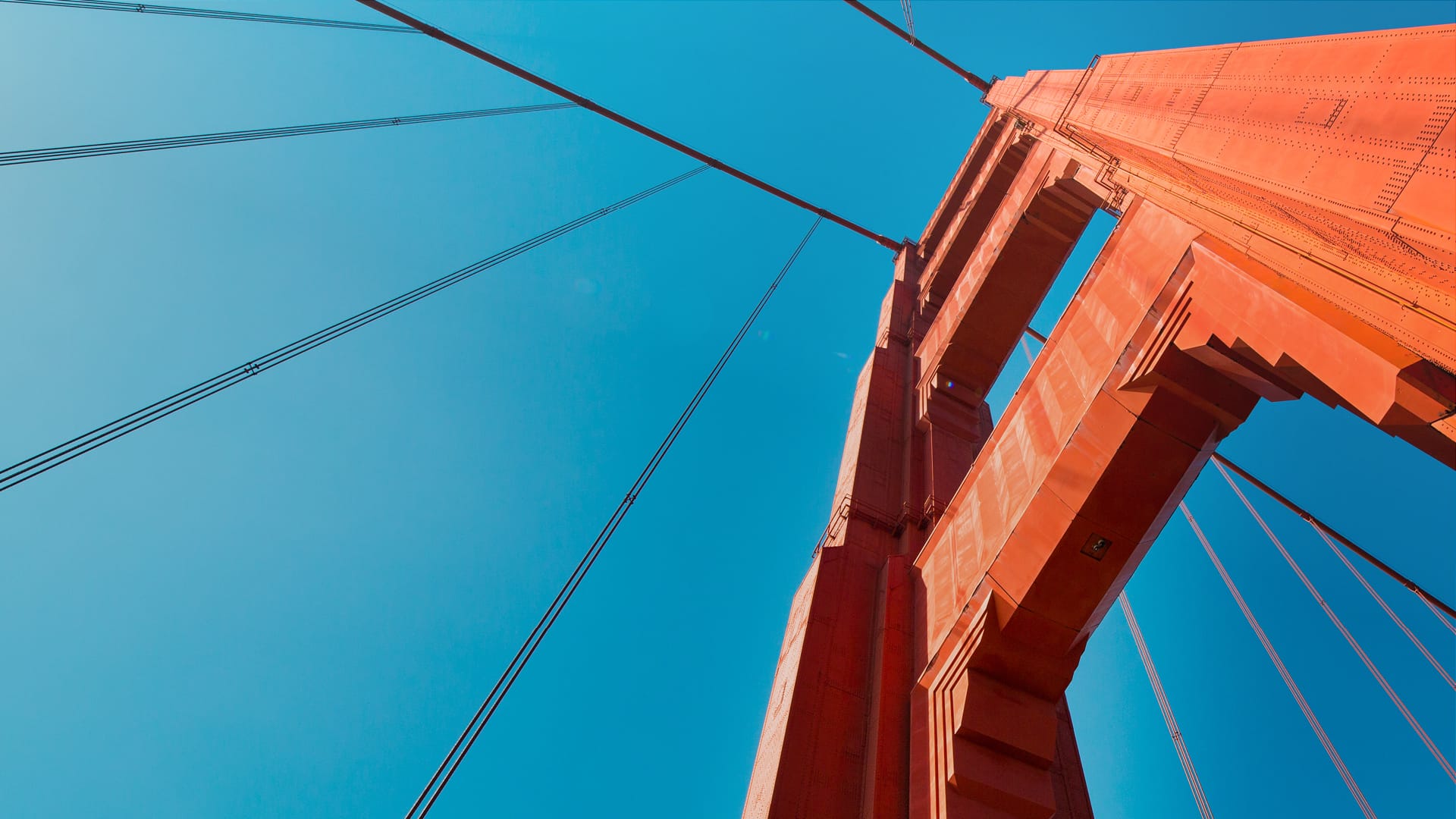 Rathbone Global Opportunities Fund: Inside a Strategy for Finding Global Champions